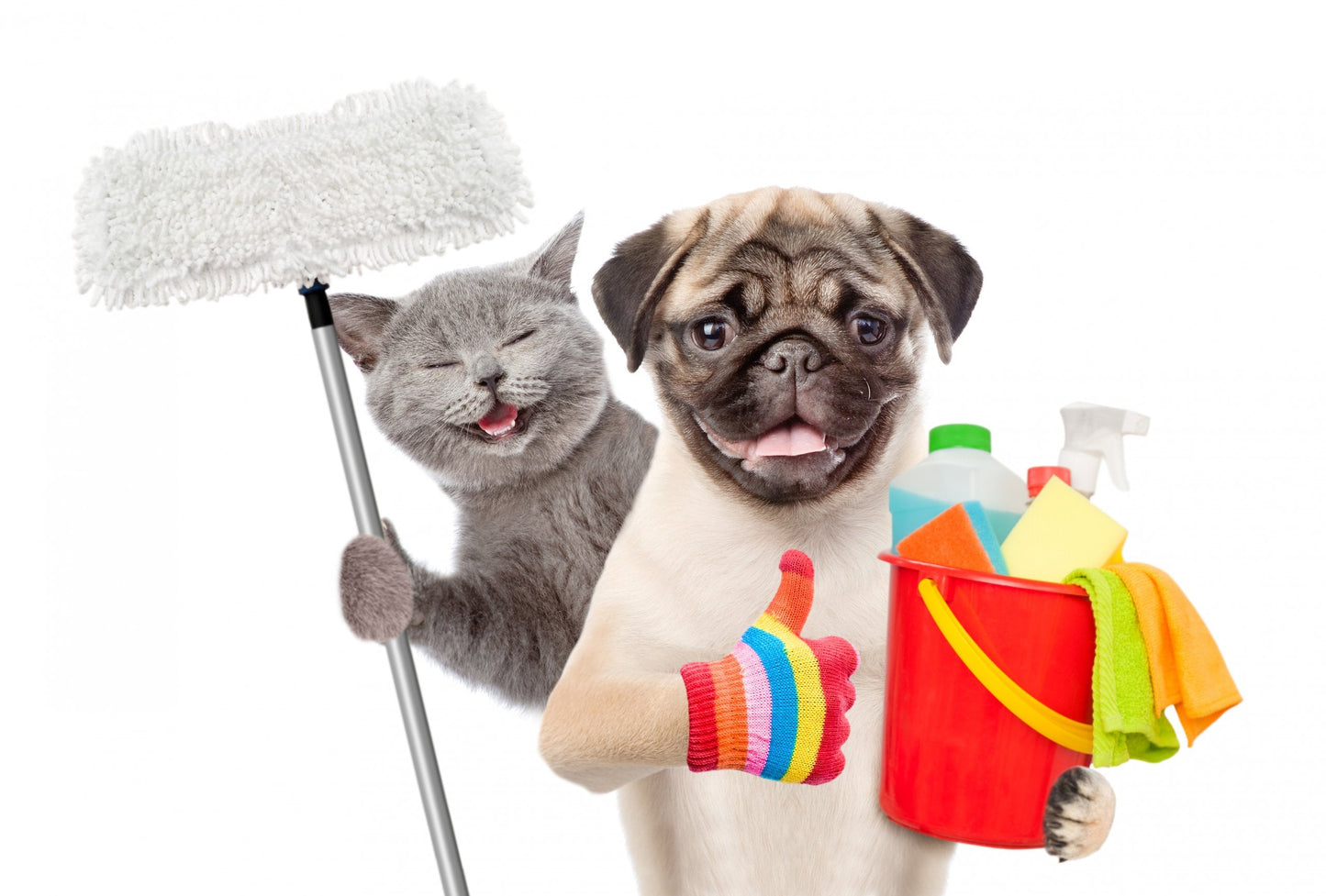 Dog, Cat, Home Pet Disinfectant Spray ( Non-Toxic)